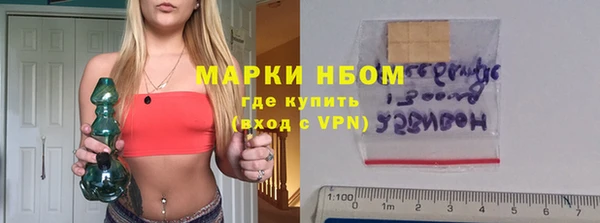 крисы Баксан