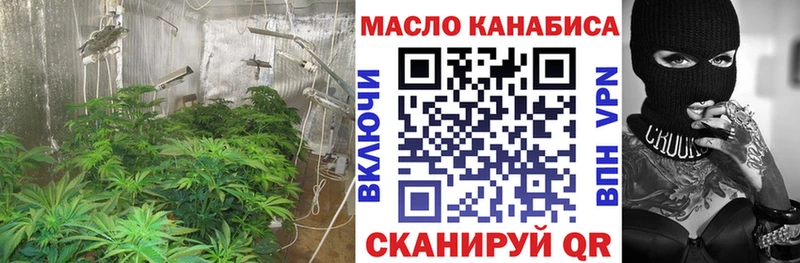 блэк спрут зеркало Новохопёрск ТГК Wax где продают