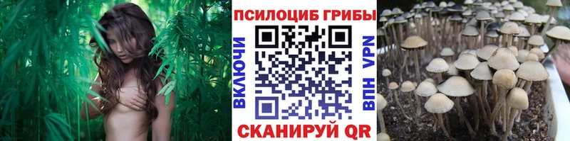 Псилоцибиновые грибы ЛСД  Новохопёрск 